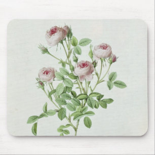 Tapis De Souris Rosa Pomponia, des 'roses de Les