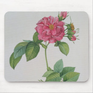 Tapis De Souris Rosa Turbinata, de, Les Roses', vol. 1, 1817