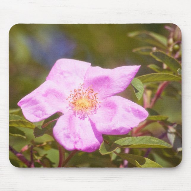 Tapis De Souris Rose (Devant)