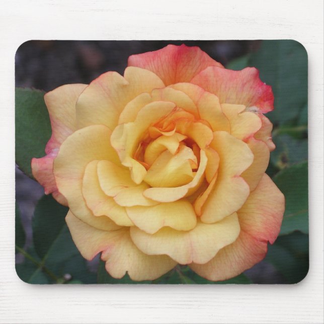 Tapis De Souris Rose Beautiful Pink and Yellow Floral (Devant)