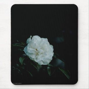 Tapis De Souris Rose blanche