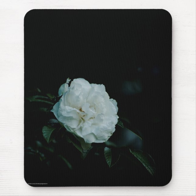 Tapis De Souris Rose blanche (Devant)
