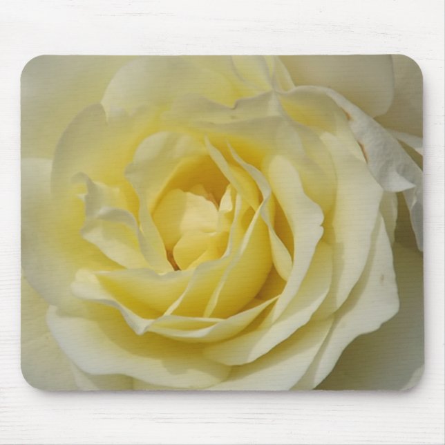 Tapis de souris Rose blanche (Devant)