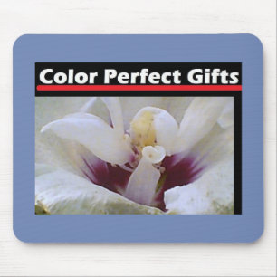 Tapis De Souris Rose blanche