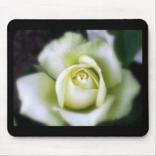 Tapis De Souris Rose blanche Soft Focus