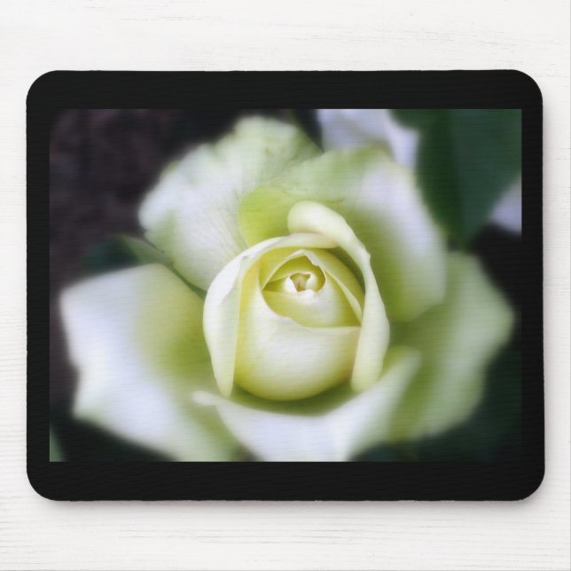 Tapis De Souris Rose blanche Soft Focus (Devant)