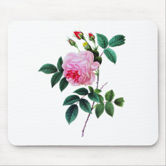 Tapis De Souris Rose de chou rose par Pierre Joseph Redoute