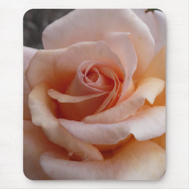 Tapis De Souris Rose de rose (Devant)