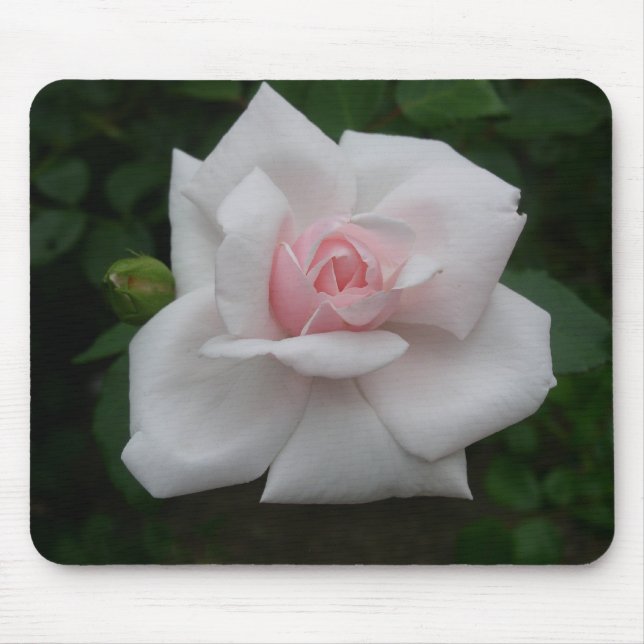 Tapis De Souris Rose de rose (Devant)