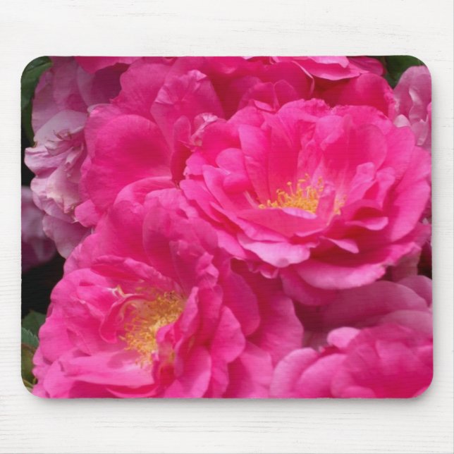 Tapis de souris rose de roses (Devant)