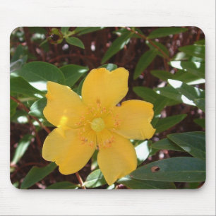 Tapis De Souris Rose de Sharon jaune Mousepad