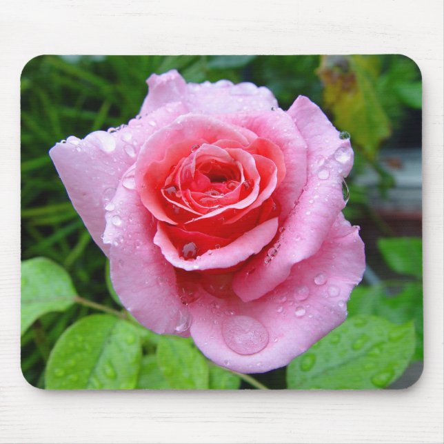 Tapis De Souris Rose humide simple Mousepad de rose de beau jardin (Devant)