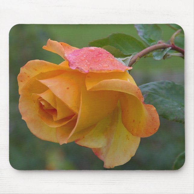 Tapis De Souris Rose jaune (Devant)