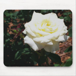 Tapis De Souris Rose jaune pâle