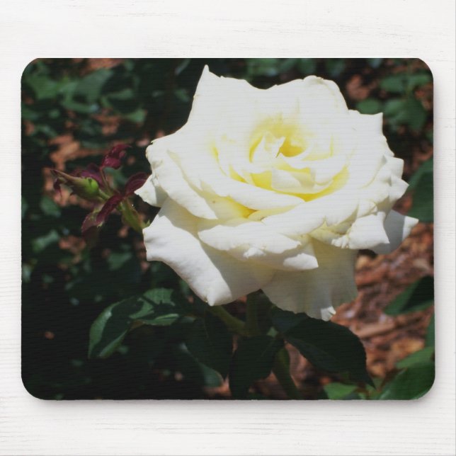 Tapis De Souris Rose jaune pâle (Devant)