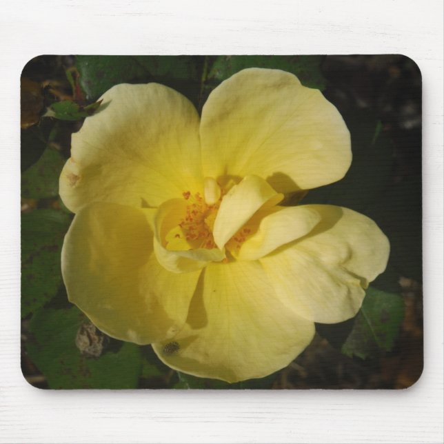 Tapis De Souris Rose jaune sauvage (Devant)