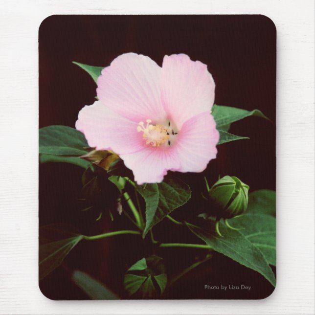 Tapis De Souris Rose Mallow Mousepad (Devant)