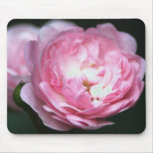 Tapis De Souris Rose Mousepad de rose !