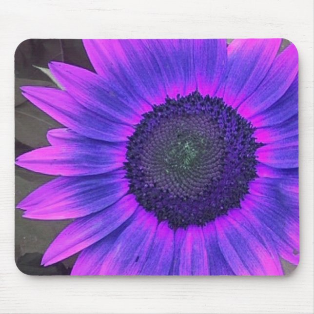 Tapis De Souris Rose N Purple Sunflower 2 mousepad (Devant)