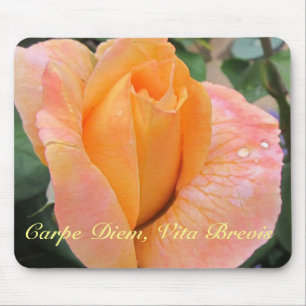 Tapis de souris -- Rose orange avec gouttes de plu