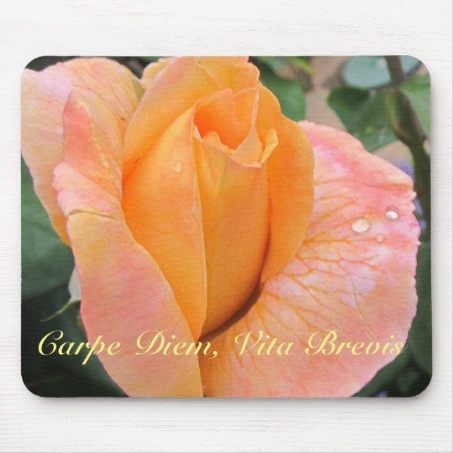 Tapis de souris -- Rose orange avec gouttes de plu (Devant)
