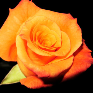 Tapis De Souris Rose orange clair