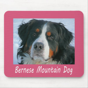 Tapis de souris rose pour chiot de montagne bernoi