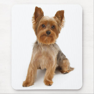 Tapis de souris rose pour chiot Terrier du Yorkshi
