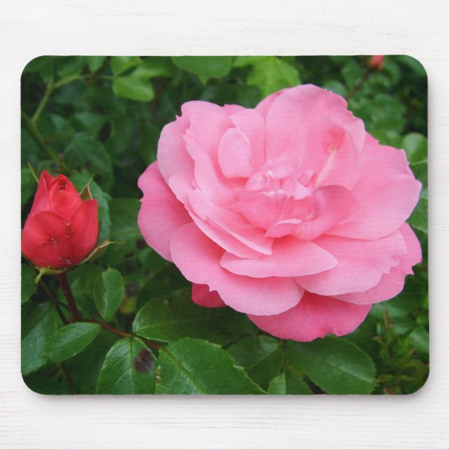 Tapis De Souris rose rose (Devant)