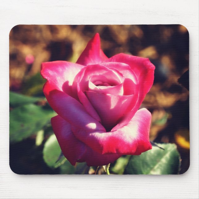 Tapis De Souris Rose rose au soleil levant (Devant)