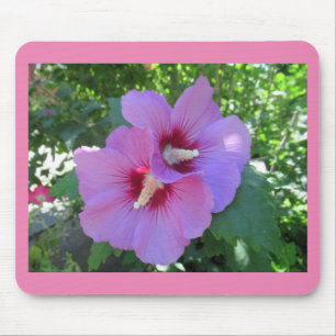 Tapis De Souris Rose rose de Sharon Photo