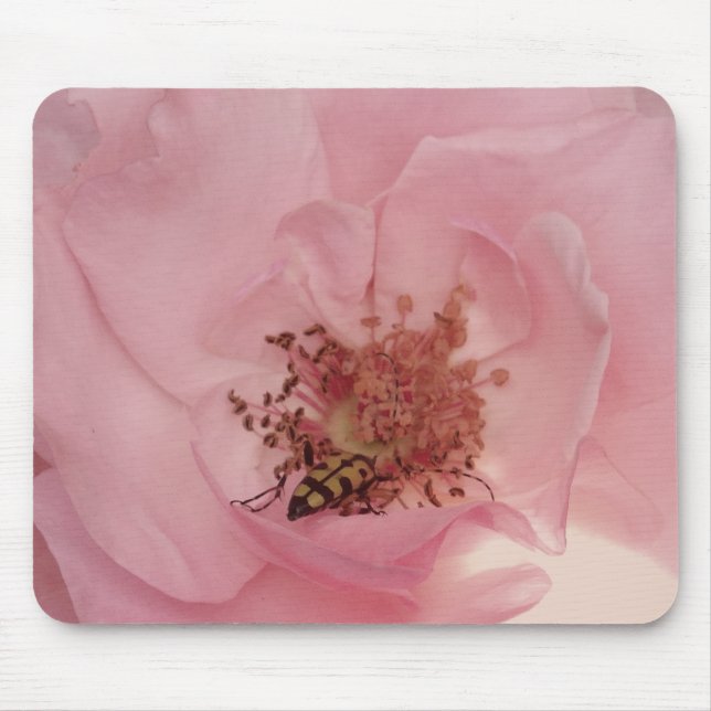 Tapis De Souris Rose rose et un insecte Photographie Mousepad (Devant)