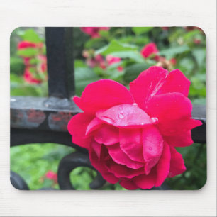 Tapis De Souris Rose rose gouttes de pluie Dew Garden Gate Photo