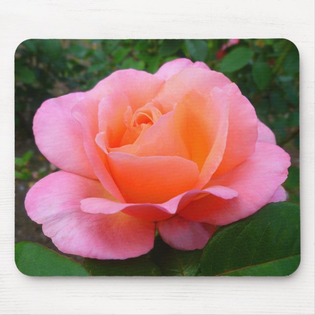 Tapis De Souris Rose rose rose (Devant)