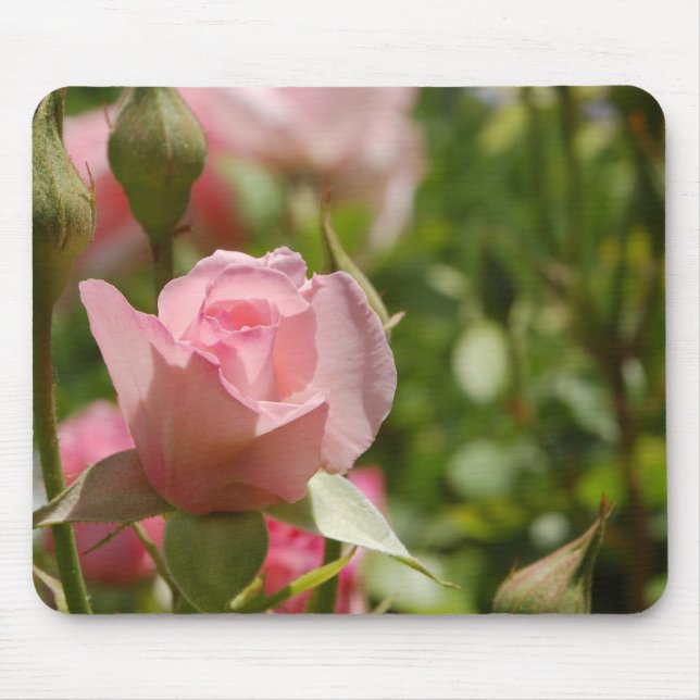 Tapis De Souris Rose rose rose (Devant)