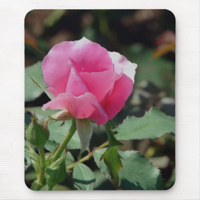 Tapis De Souris Rose rose rose (Devant)