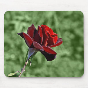 Tapis de souris Rose Rouge