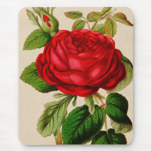 Tapis De Souris Rose rouge
