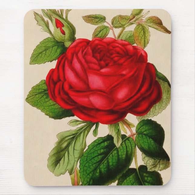 Tapis De Souris Rose rouge (Devant)