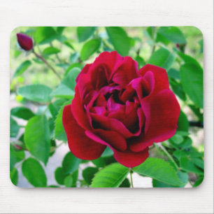 Tapis De Souris Rose rouge avec le bourgeon