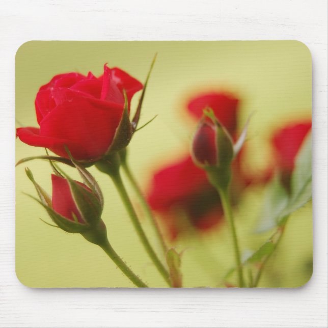 Tapis De Souris Rose rouge délicate (Devant)