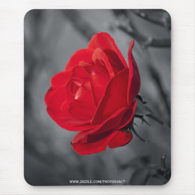 Tapis De Souris Rose rouge Mousepad (Devant)