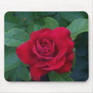 Tapis De Souris Rose rouge proche
