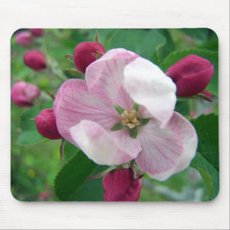 Tapis De Souris Rose sauvage Mousepad