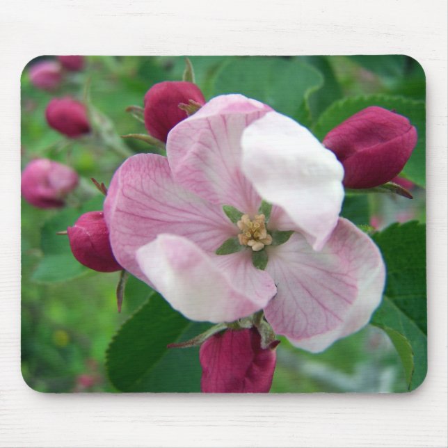 Tapis De Souris Rose sauvage Mousepad (Devant)