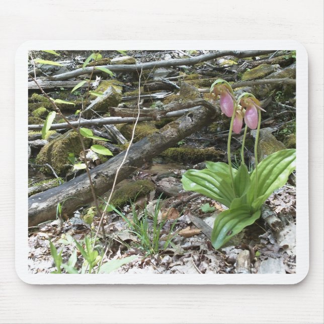 Tapis De Souris Rose Slipper orchid (Devant)