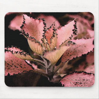 Tapis De Souris Rose Star d'argynoneura de Fittonia '
