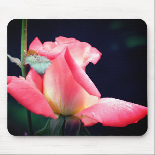 Tapis De Souris Rosebud rose délicieux Fleur
