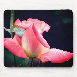 Tapis De Souris Rosebud rose délicieux Fleur