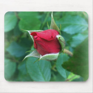 Tapis De Souris rosebud rouge